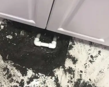 库车查漏水哪家好